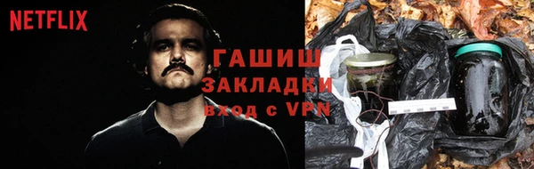 молекула духа Алексин