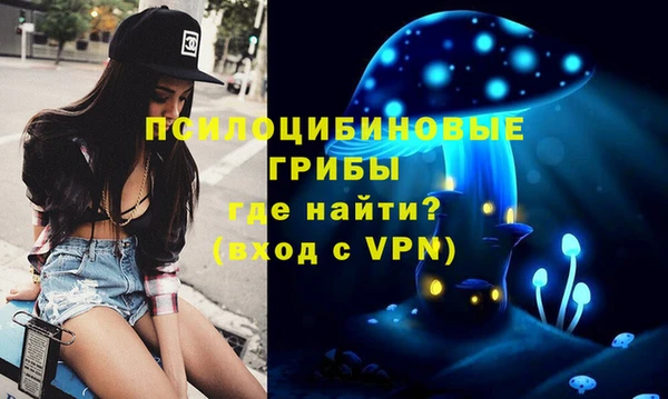 гидропоника Алексеевка