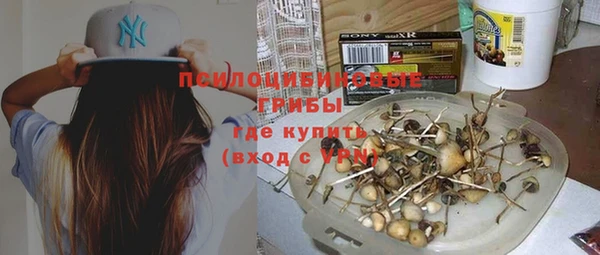 гидропоника Алексеевка